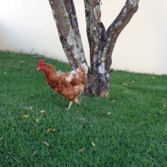 mriasani's profile picture. 