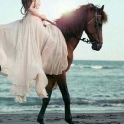 الاقتباسات تشعرني بالبهجة، فأنا أرى الأفكار التي أحملها وقد عَبَّرَ عنها بأسلوب أكثر جمالا من أشخاص أكثر حكمة ..” مارلينه ديتريش