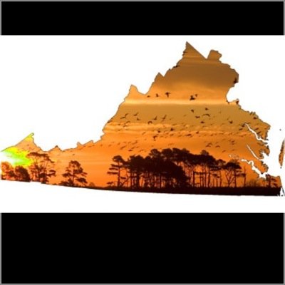 The_va_Finest's profile picture. Featuring the best looking people in Virginia! DM pictures of your friends or yourself. Must follow for feature.