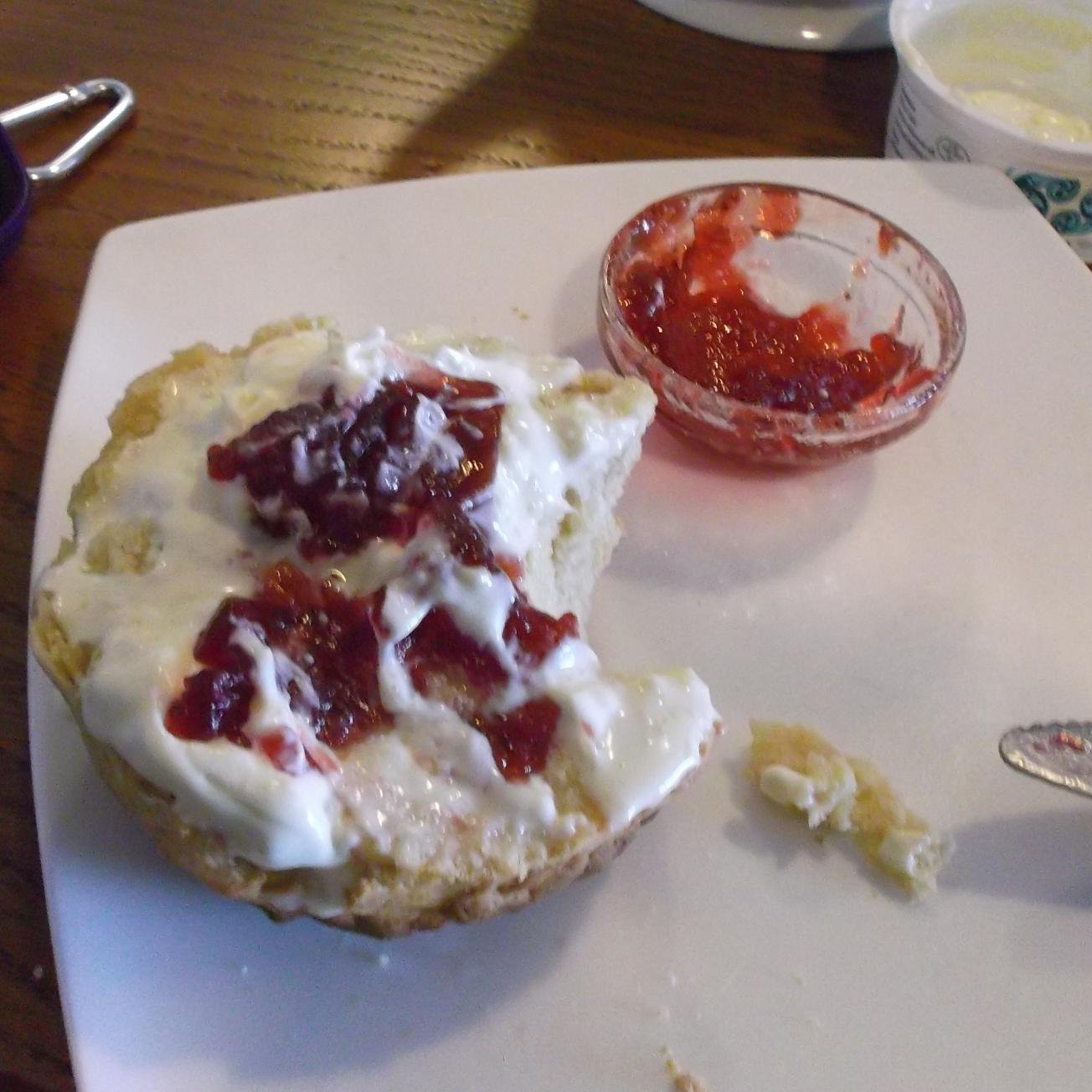 Loobyloo1us's profile picture. On Twitter to support my daughter Sally who is the founder of @MEFoggyDog and MD of @StripyLightCIC. I'm the mum of an #MECFS patient. #pwme #myalgicE