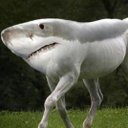 John Ringland - @jringland42 - Twitter