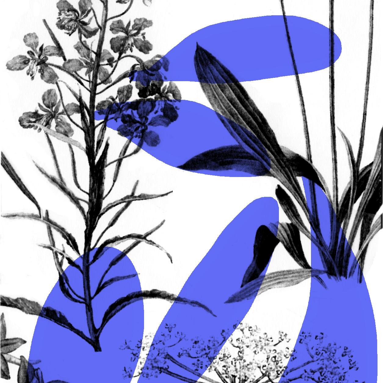 PrairiePartDieu's profile picture. #Prairie disperse les fleurs, investit graphiquement l'espace public et milite pour la biodiversité en ville. #PartDieu #LyonCityDesign : printemps 2015.