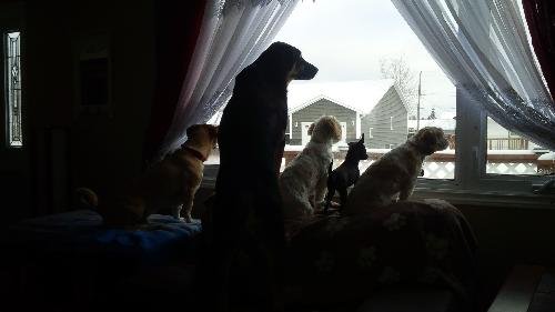 balty1's profile picture. 