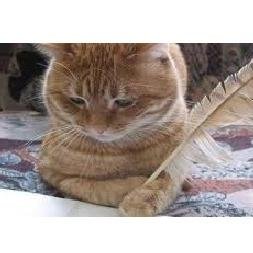 Hi. I tweet world's funniest news every day! Do you like to see more? If so, please visit my website.