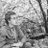 sam_matis's profile image