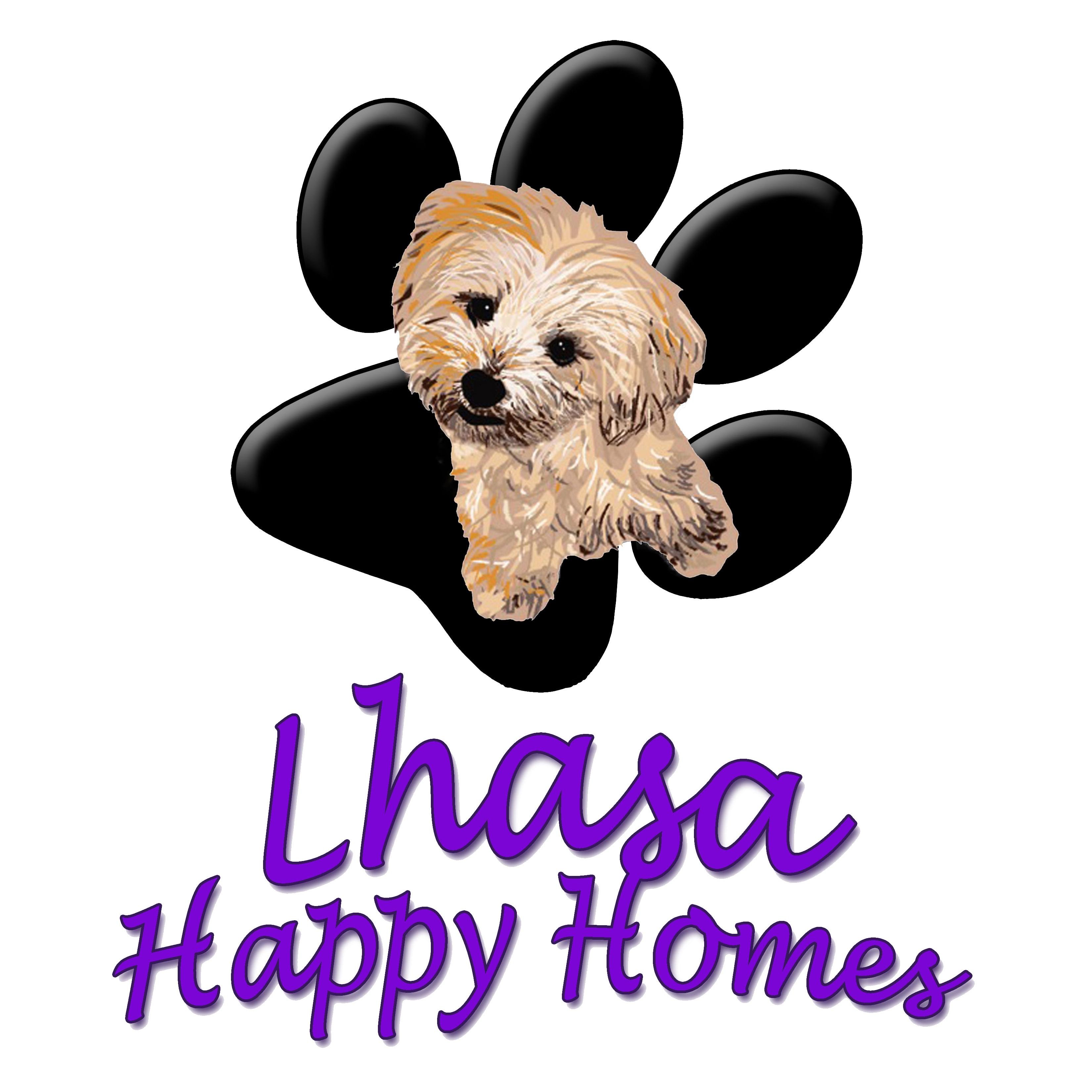 Non-profit rescue & foster care organization created for the safe haven and permanent placement of homeless small breed dogs. http://t.co/7uvQteRJKF