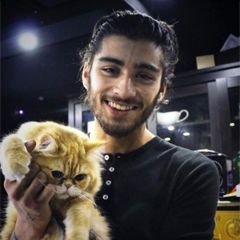 Odeio essas bandinhas cheias de problemas com cornos,passivas e maconheiros ainda bem que sou fã da one direction