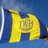 TWHarriers's profile image