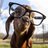 TheMsBurgan's profile image