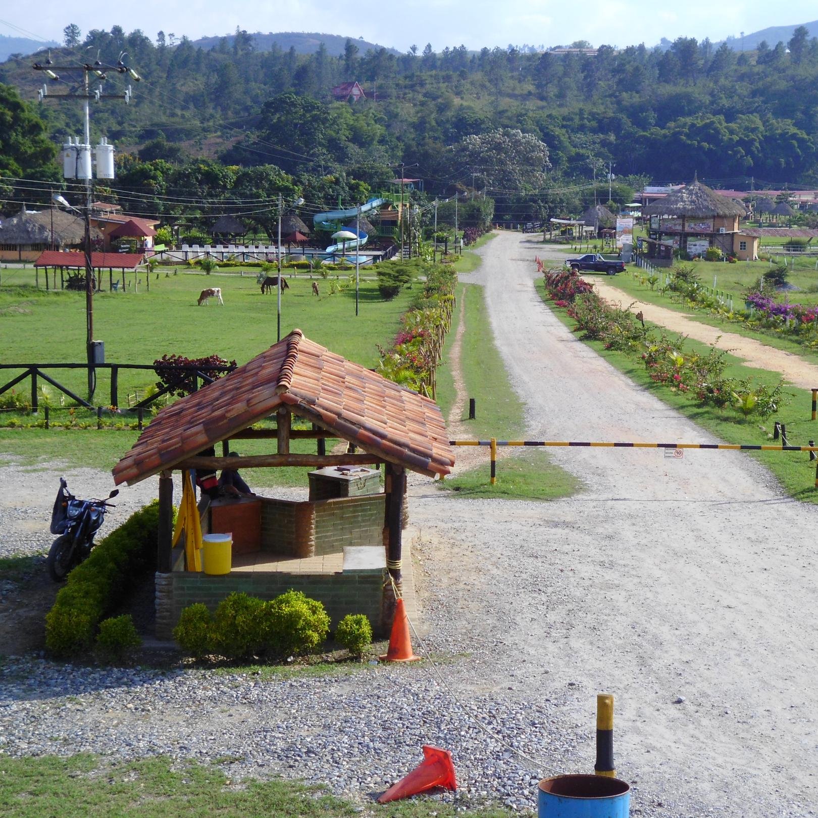 Pag. Oficial de Lomas de Nirgua