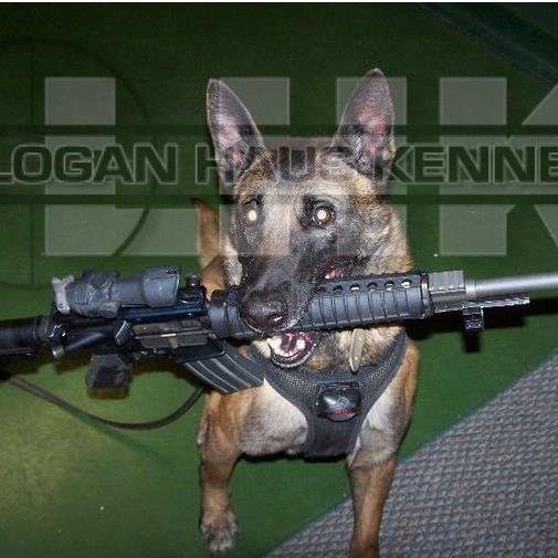 Logan Haus Kennels is a working dog kennel specializing in police, special operations, and USAR K-9s. We also breed working dogs and offer a training school.