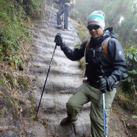 sjpaulovich's profile picture. 