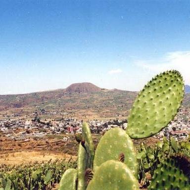 Vives, trabajas o transitas por Milpa Alta, síguenos tenemos tips y mucho más... e-mail: en.milpa.alta@gmail.com
