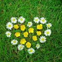 Robyn Marsh - @RobynMarsh29 - Twitter