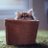 JohnsonMouse's profile image