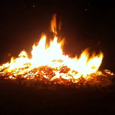 M_K_Briggs's profile picture. 