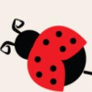Ladybug Acres features unique handcrafted, artisan repurposed and upcycled furniture, decor, clothing and accessories. We focus around industrial and farmhouse