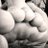 Mrk1904's profile image