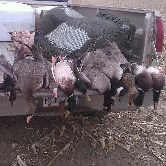 Everything waterfowl in Kansas. Bird reports, weather conditions, sunrise/sunset times, photos and more #kswaterfowl