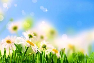 cbsac's profile picture. Principal @UGDSB, wife to an amazing husband and mom to 3 daughters who light up my world! Love travel, reading, and being inspired by educators! she/her/hers