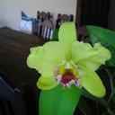 MARICEL Ramirez - @MaricelMr18 - Twitter