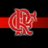 segueflamengo's profile image