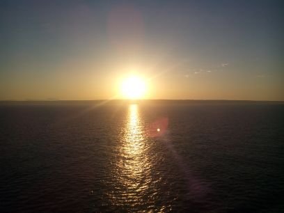 vitolomonaco77's profile picture. 