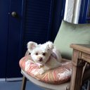 Perry Steve Chesser - @pchesser125 - Twitter