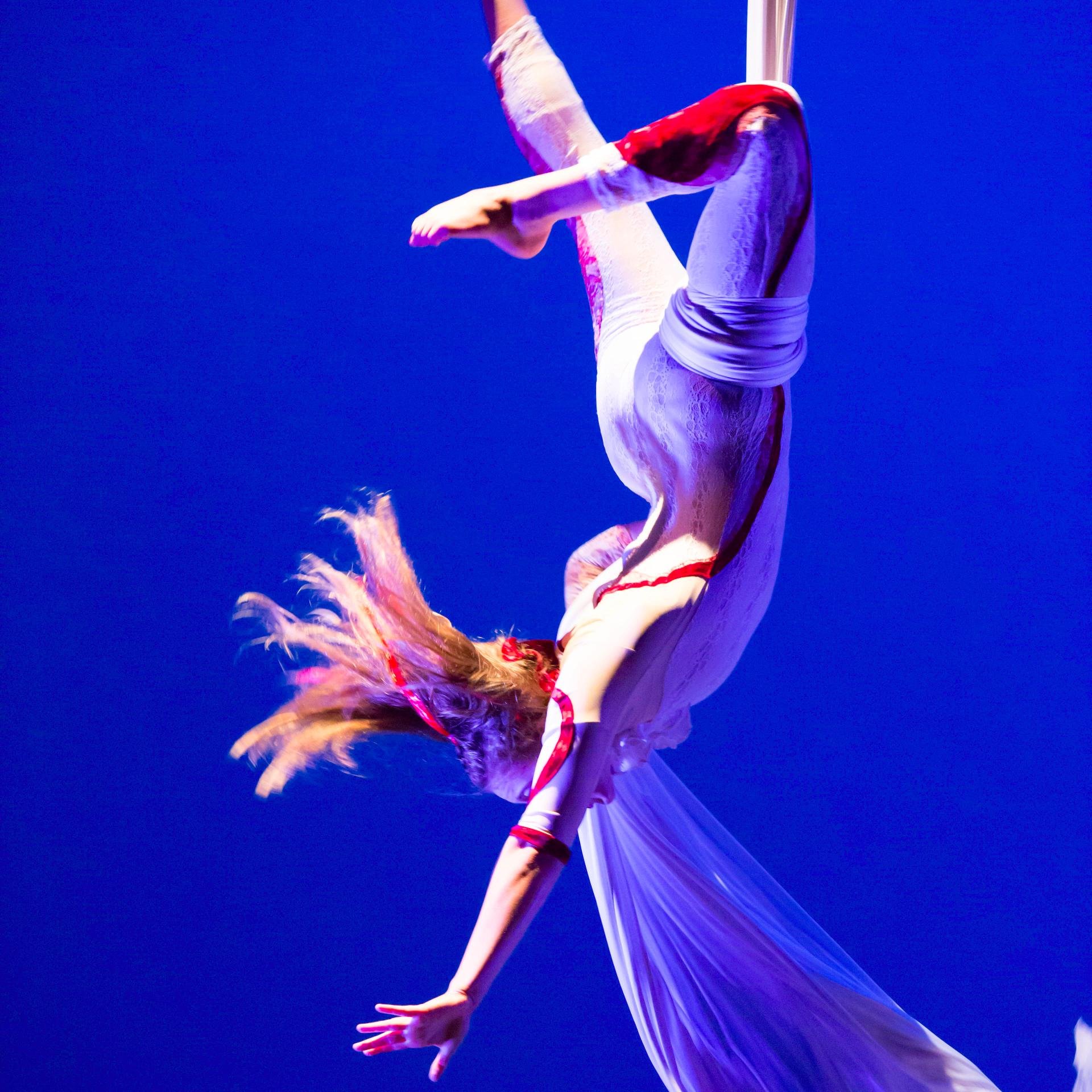 Leading Aerial Arts/Contemporary Circus Performance Company.