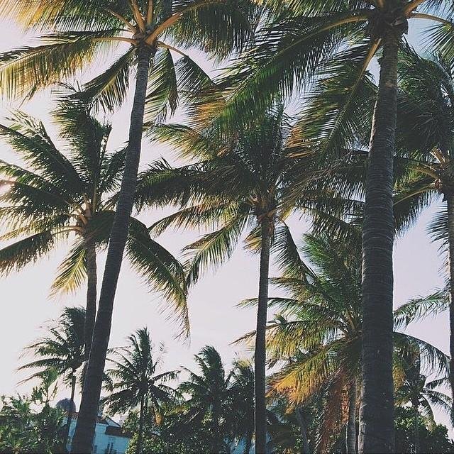 ⠀⠀⠀⠀⠀⠀⠀⠀⠀⠀⠀⠀⠀⠀⠀⠀⠀⠀⠀