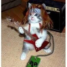Hi. I tweet world's funniest news every day! Do you like to see more? If so, please visit my website.