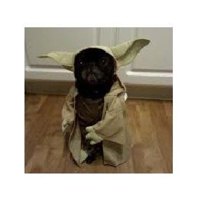 Hi. I tweet world's funniest news every day! Do you like to see more? If so, please visit my website.