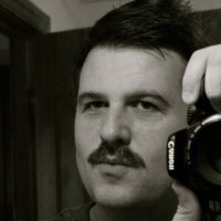 dominic somers (@dominicsomers) 's Twitter Profile