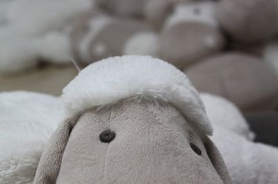 sheepo69's profile picture. Cyclist, glutton, Alfa Romeo enthusiast, comedy lover, football fan, husband.