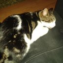 Carole Marshall - @821cb823cde143b - Twitter