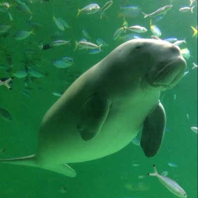 tonkitu's profile picture. ギャンブル&ビール大好物！2025/12ギャンブルからレザークラフトへ⋯黙々と作業してる時間がたまらん✨️先輩方を参考にさせてもらってます〜よろしくお願いします😊ジャンボくじミニは毎回購入！ダイエットと維持も目標。