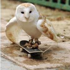 Hi. I tweet world's funniest news every day! Do you like to see more? If so, please visit my website.