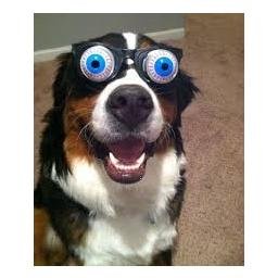 Hi. I tweet world's funniest news every day! Do you like to see more? If so, please visit my website.