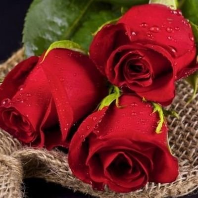 ‏‏‏‏‏‏‏‏‏‏‏‏‏لا تستحقر احدًا و ترىَ نفسَك فِي القِممّ فكلّنا من طينٍ و الترابُ نهاية كُل بشر. ✋✋      فولومي←فولوباكك