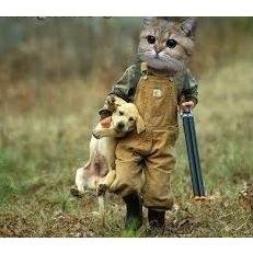 Hi. I tweet world's funniest news every day! Do you like to see more? If so, please visit my website.