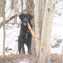 Scott Troyer - @troyer_scott - Twitter