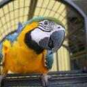 byrd_man - @byrd_man - Twitter