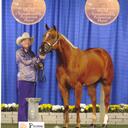 candace wilcox - @howlerw - Twitter