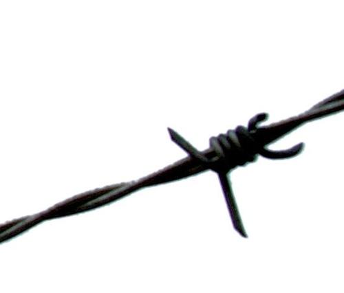 onelongminute's profile picture. http://t.co/A6kSObZkTU – unique, addictive blogging with sharp commentary, loads of reaction and heady interaction between users / Just write.