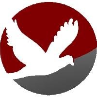 JetaAirwaysVA's profile picture. Jeta Airways is a fictional Virtual Airline which operates a wide fleet of Boeing & Airbus aircraft, and fly all over Europe.