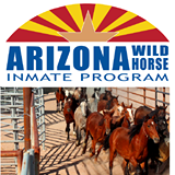 AZ_Wild_Horses's profile picture. Horse & burro adoptions from the BLM, trained by AZ State Prison inmates who learn marketable skills and benefit from taking responsibility for the animals and