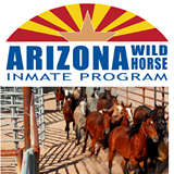 Horse & burro adoptions from the BLM, trained by AZ State Prison inmates who learn marketable skills and benefit from taking responsibility for the animals and