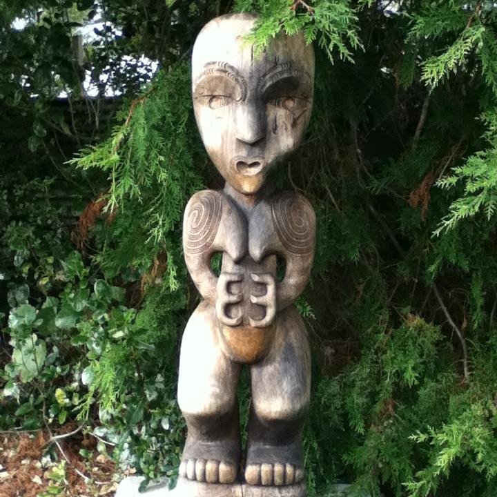 FinaHallman's profile picture. 