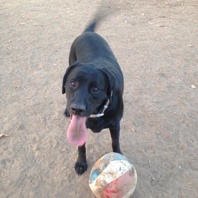 fearthetree111's profile picture. 