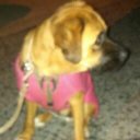 Kayla Skaggs - @kaylaskaggs16 - Twitter